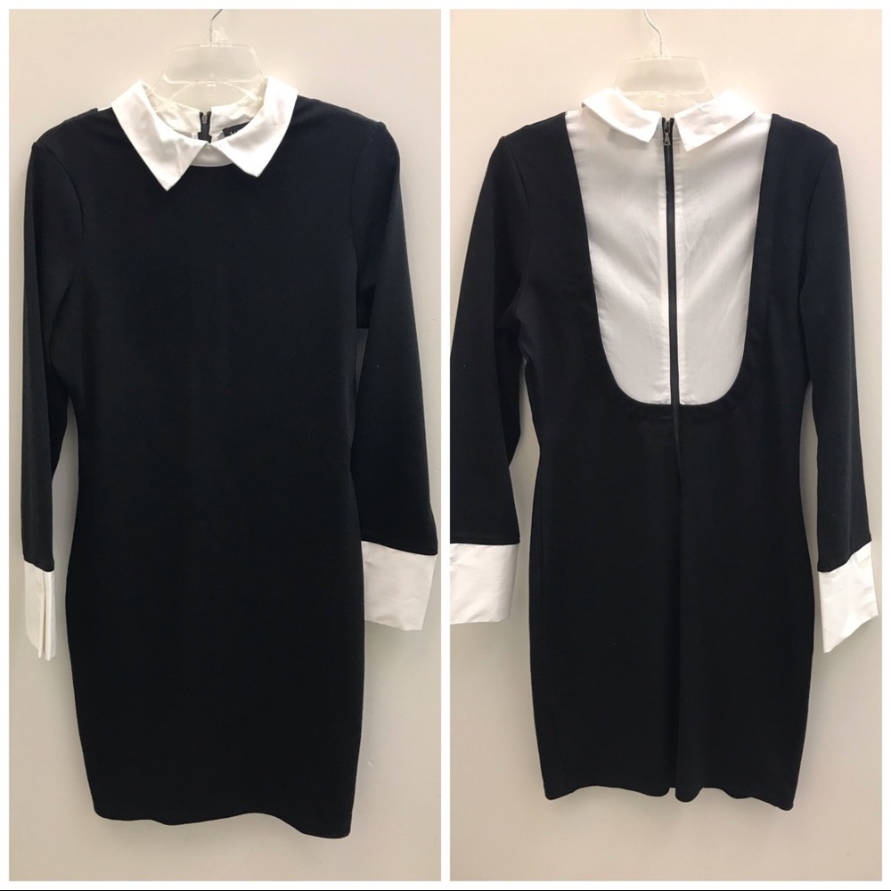 VENUS Collared Dress